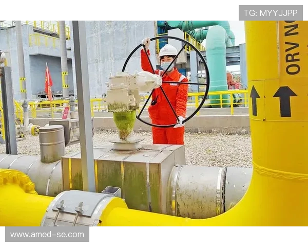 LNG快攻策略分析:成功与失败的关键因素探讨 LNG快攻策略分析:成功与失败的关键因素探讨