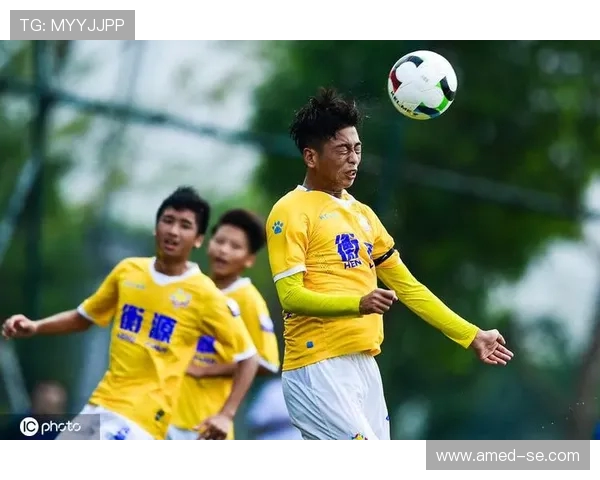 上海篮球队在精英赛中的技术表现分析与未来展望