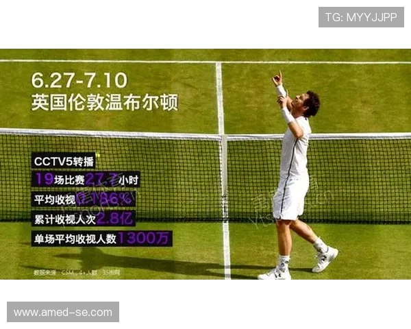 上海网球队个人能力深度对比分析与发展潜力探讨