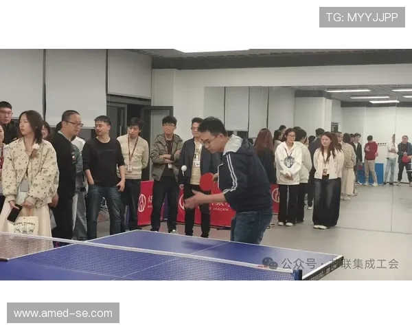 乒乓球的魅力：深入武汉乒乓球队的团队协作与默契之道