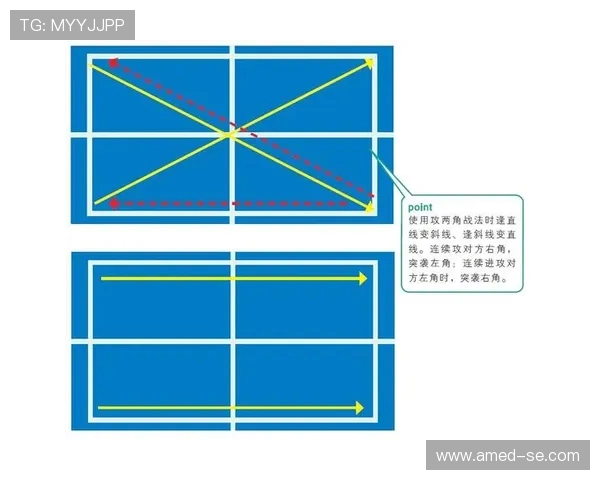 南京乒乓球队战术解析与转换体系的深度探讨与应用