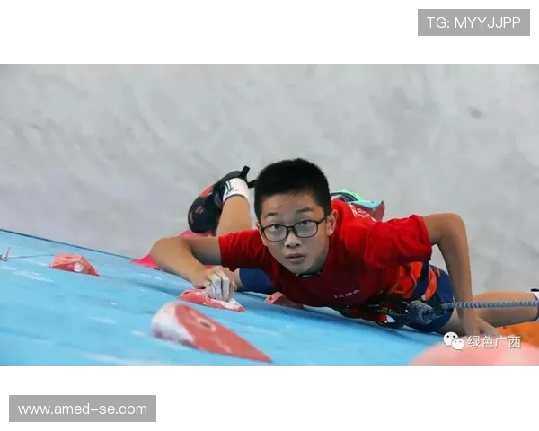 南京飞盘队在世界攀岩锦标赛中的辉煌突破与成长历程回顾