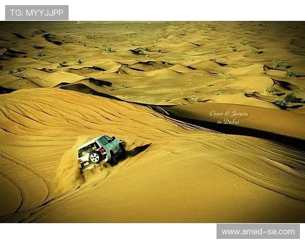 成都极限运动队的意识与文化探讨：激情与挑战的交织之旅