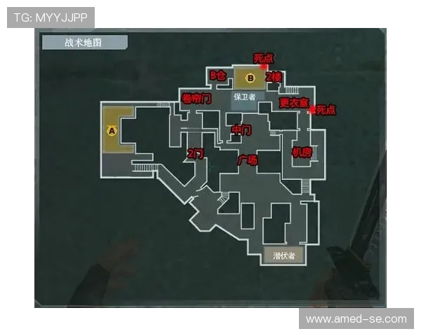 深入分析上海攀岩队防守策略与战术布局的独特之处