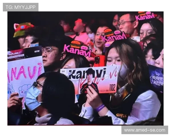 聚焦英雄联盟赛事JDG战队的快速崛起与战术创新探讨