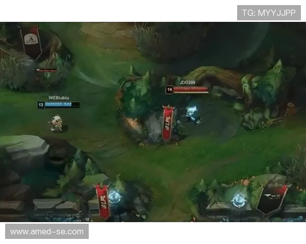 赛后分析：JDG与WE对决中的战术博弈与技术细节探讨