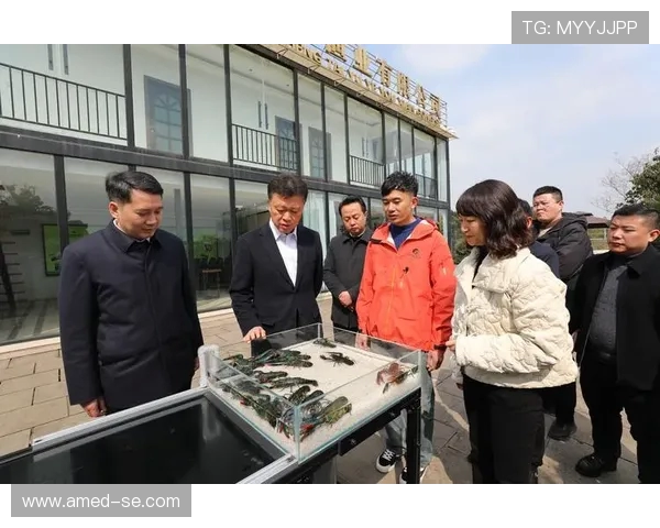 重庆足球队灵活性全面对比分析及其对比赛表现的影响探讨