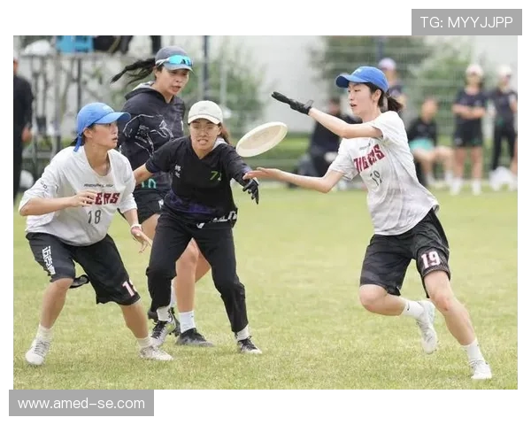 飞盘运动的探索与成长陈强分享个人经历与未来展望 飞盘运动的探索与成长陈强分享个人经历与未来展望