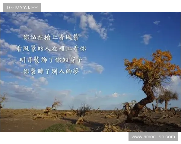 李磊畅谈王者荣耀职业生涯背后的故事与心路历程 李磊畅谈王者荣耀职业生涯背后的故事与心路历程