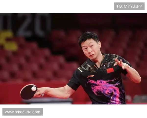 杭州篮球队以59分领跑大满贯积分榜展现强劲实力