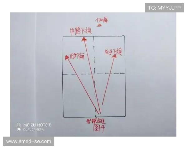 深圳网球队战术解析与对比分析深度剖析球队优势与不足