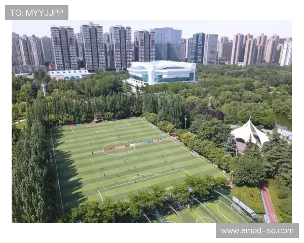 西安足球队强势崛起最新实力排名前十揭晓