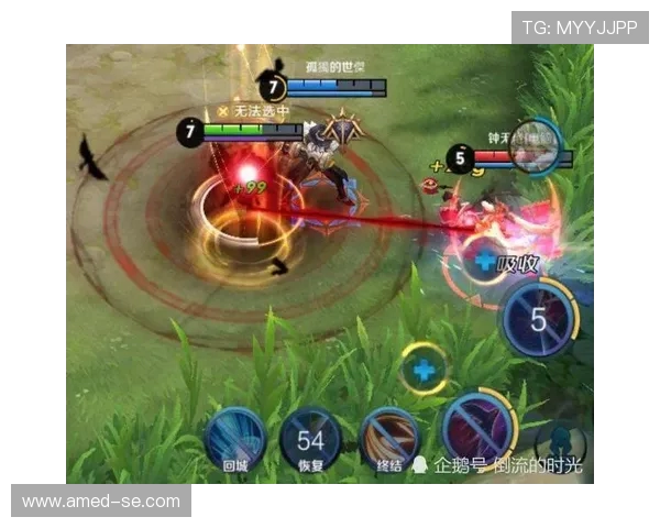 专访杨芳深度解析王者荣耀成功背后的秘密与策略 专访杨芳深度解析王者荣耀成功背后的秘密与策略