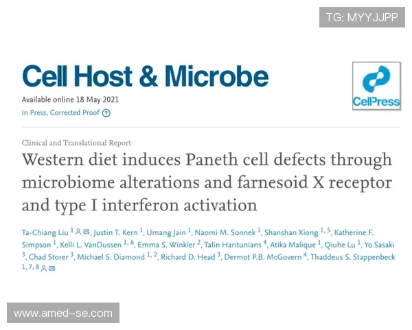 北京滑板队成员个人能力分析与表现评估研究报告