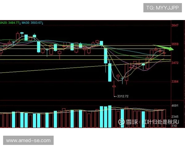 广州篮球队与上海篮球队赛后复盘分析比赛节奏与战术对决