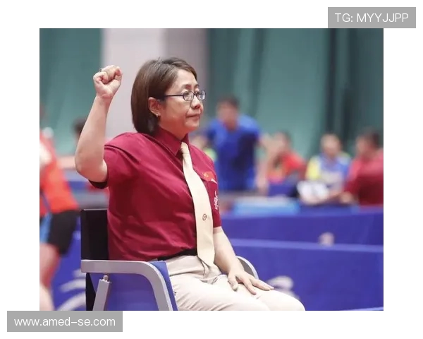 张娜乒乓球生涯回顾与展望对话录